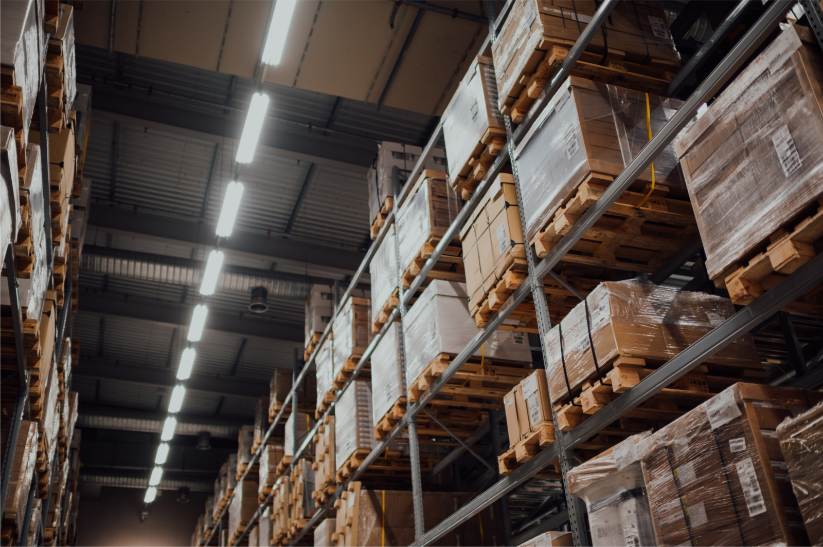 Interior photo of pallet racks in warehouse